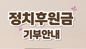 정치후원금 리플릿(2025)